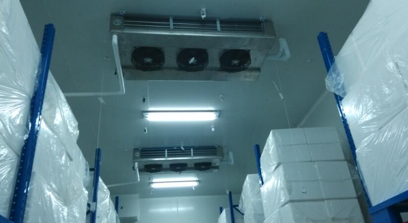 冷庫(kù)驗(yàn)證